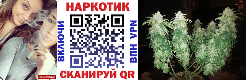 Наркота Александровск А ПВП  ГАШИШ  Бошки Шишки 
