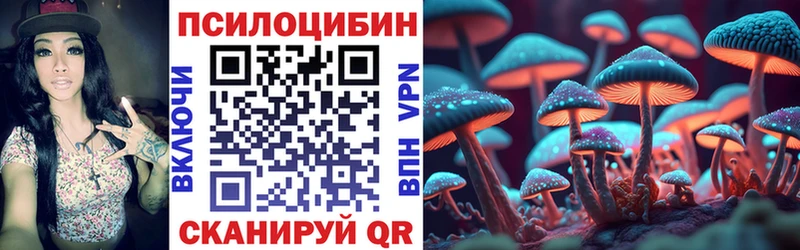kraken ONION  Александровск  Галлюциногенные грибы ЛСД 